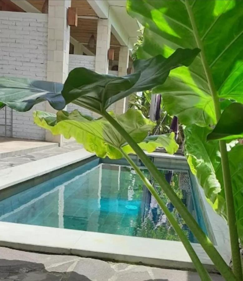 Surya Lombok Accommodation Selong Belanak Bagian luar foto