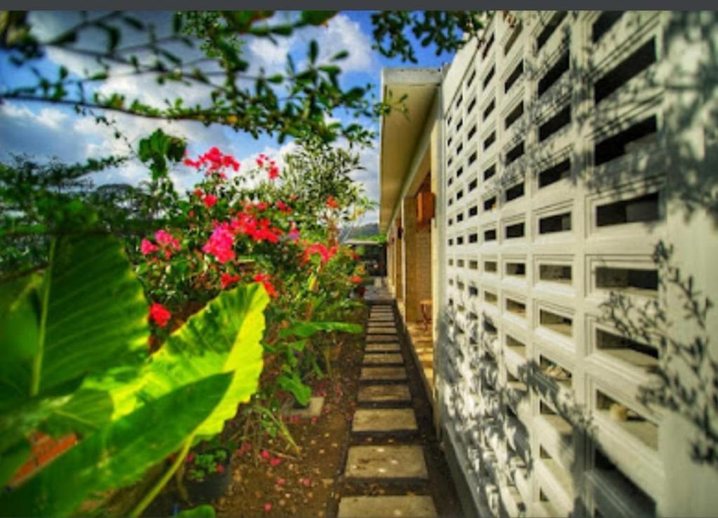 Surya Lombok Accommodation Selong Belanak Bagian luar foto